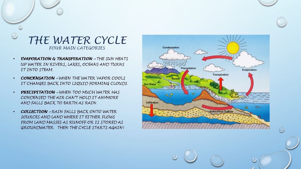 The Big Picture - Slide  021